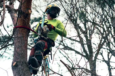 BARTLOMIEJ MUŚ SORTED